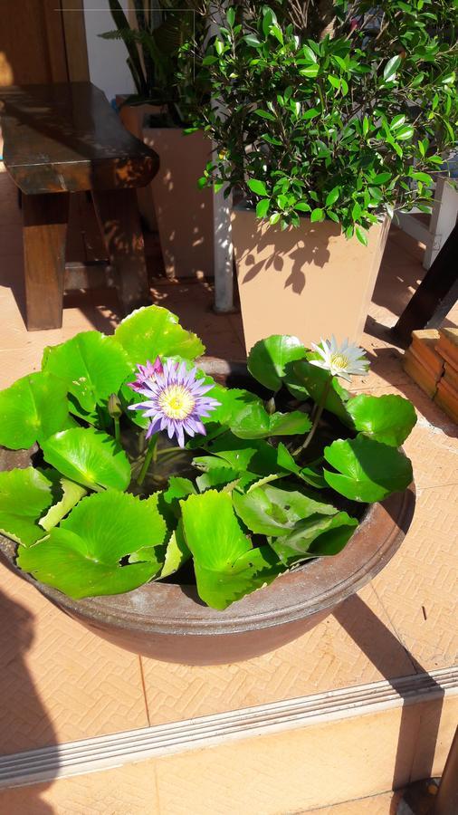 Savika Guesthouse Ranong Ngoại thất bức ảnh